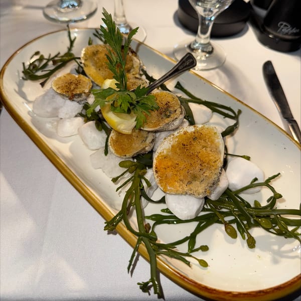 Baked clams with breadcrumbs, lemon, and parsley, served on a bed of greens and white stones.